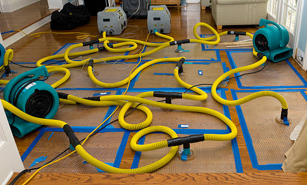 Professional Burst Pipe Water Damage technician working in Birchwood, TN